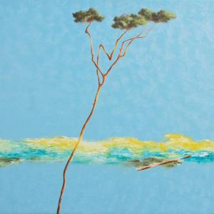 "ARTinCLUB II": personale di Riccardo Corti alla Residenza d'Epoca Hotel Club I Pini di Lido di Camaiore