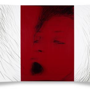 divina carne-volume2