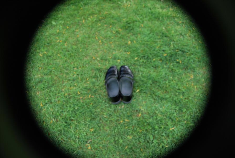 Aspettando il Bianconiglio