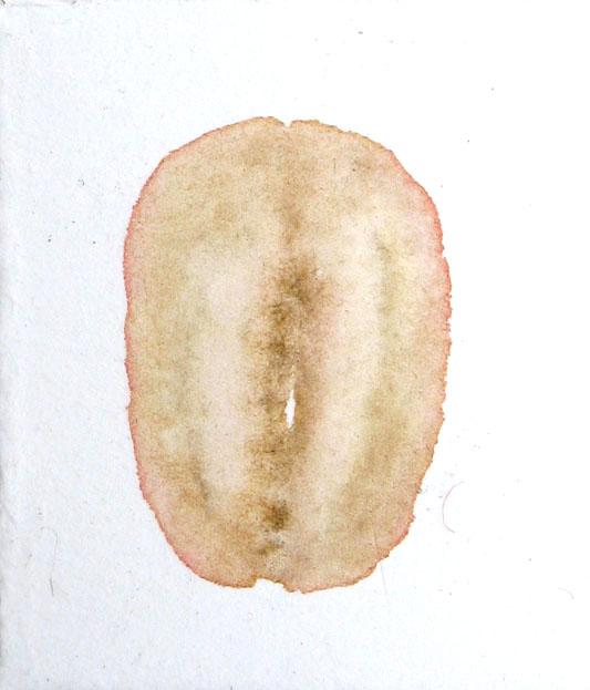 Levitas Originae particolare