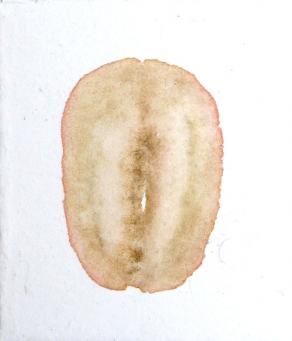 Levitas Originae particolare