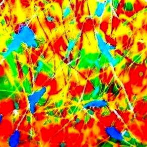 Energia vitale sub 1