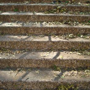 stair leaves