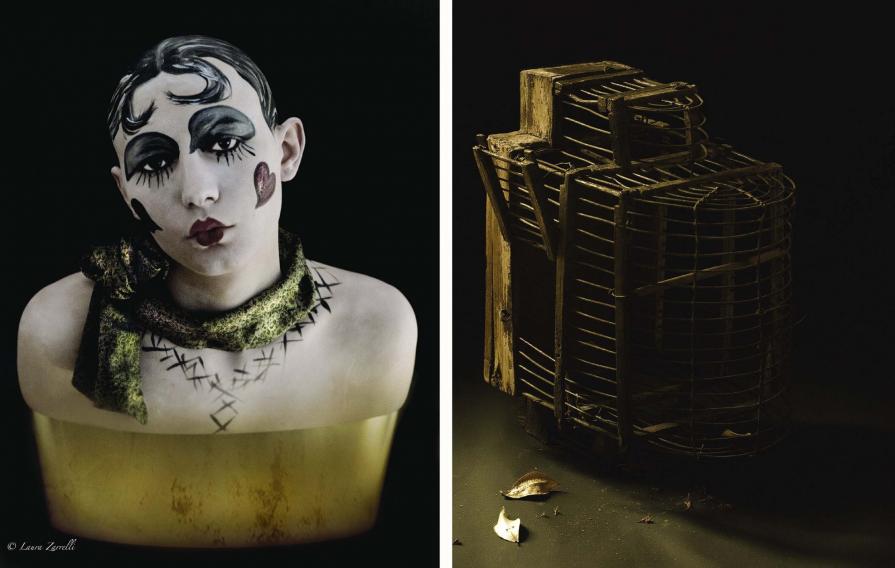 THE PORNOGRAPHER (HAS) ESCAPED … FREEDOM FOR THE BIRD THE PORNOGRAPHER (HAS) ESCAPED … FREEDOM FOR THE BIRD