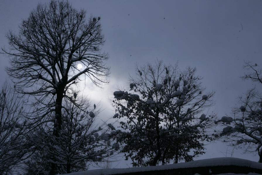 battiti_05 battiti_05