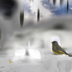 il senso della misura non ce l'avete caro papa Francesco