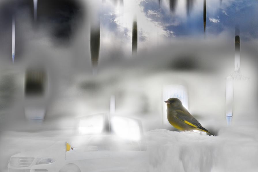 il senso della misura non ce l'avete caro papa Francesco il senso della misura non ce l'avete caro papa Francesco