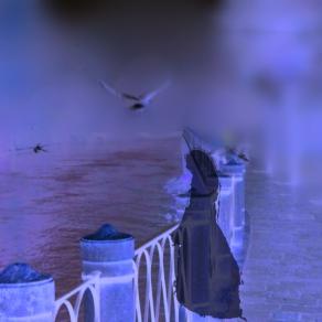 ...LA TRISTEZZA DEL MIO CUORE !!!