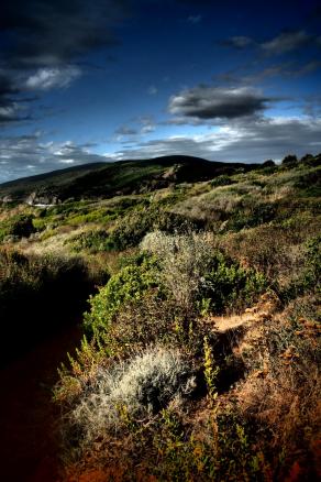 Il profumo della Natura 