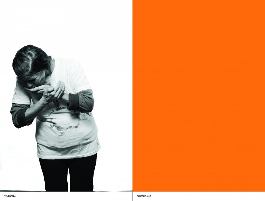 I colori della mente. Raffaella.