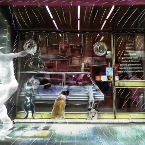 a cosa servono continui sacrifici quotidiani?????