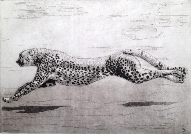 Corriamo Insieme (nella Luce)