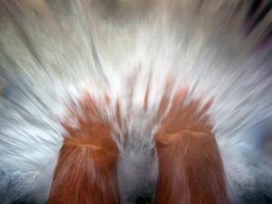 H2OLTRE - Idro reazione