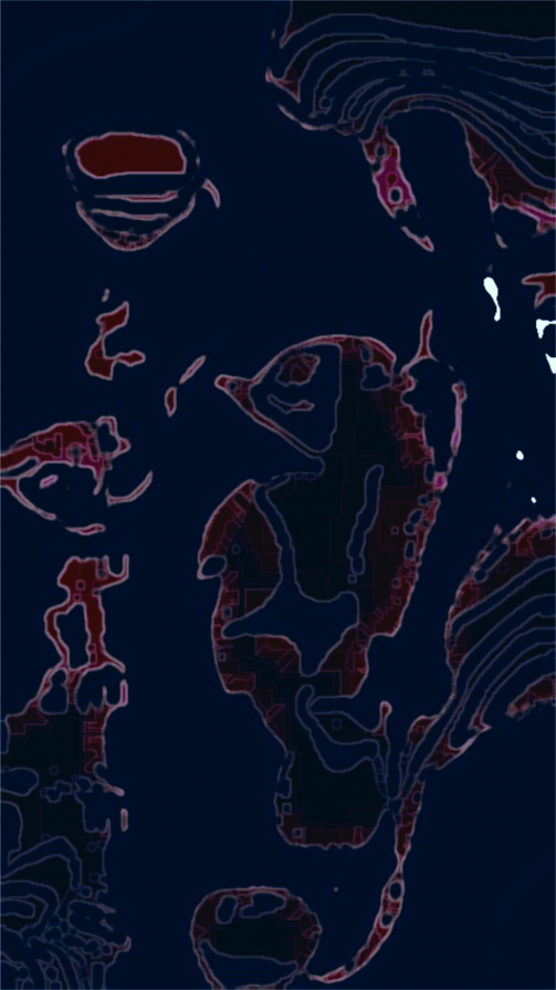 Il Cavalluccio Marino