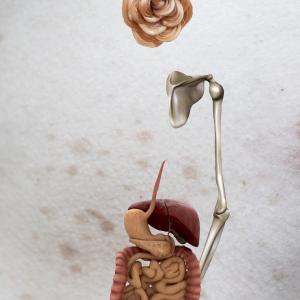 Me, Myslef & I, Galina