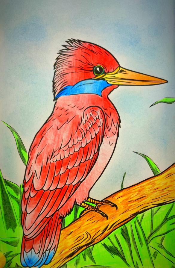 un nido, una piuma, un canto...