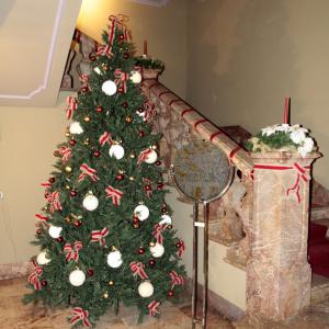 MOSTRA ALLA "MERIDIANA" DI MODENA ,22 DICEMBRE 2013-12 GENNAIO 2014.