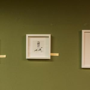 FOTO-GRAFICA AL CLUB MERIDIANA