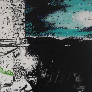 Ginestrelle A.I.R. 2010-2011 presenta l'artista canadese Adrianne Williams 