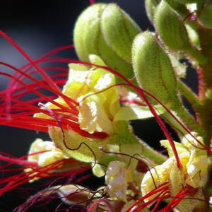 Italia. Sicilia, Trapani blu e sale