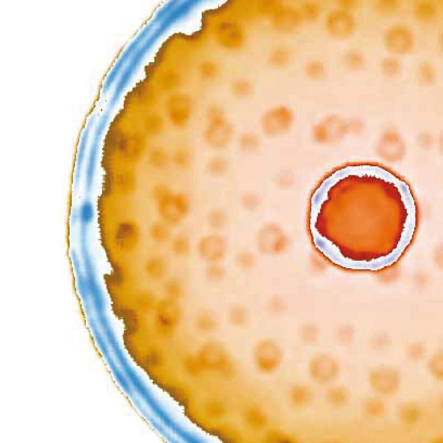 Premio Primal Energy 2012: Radici contemporanee Premio Primal Energy 2012: Radici contemporanee