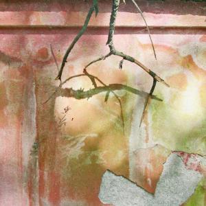 Naide Bigliardi. Stranaluce