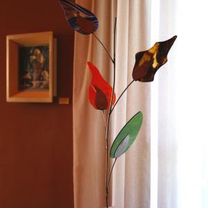 Natura:Luci e Ombre a Modena.