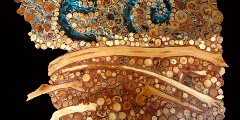 Mostra Personale NATURA ONIRICA 