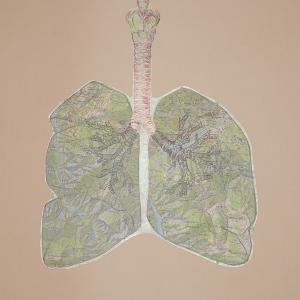 Inside/Rinascite di Erjon Nazeraj Inside/Rinascite di Erjon Nazeraj