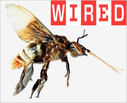 Water Monitor di Silvio Giordano su WIRED