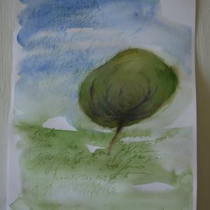 Forest Magic Mauntain