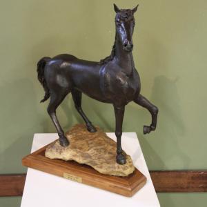 LE FOTO DI ALTRA NATURA IN VILLA fino al 25 ottobre CLUB LA MERIDIANA (MO)