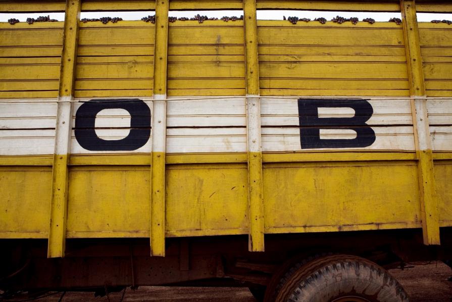 Dolce come lo zucchero