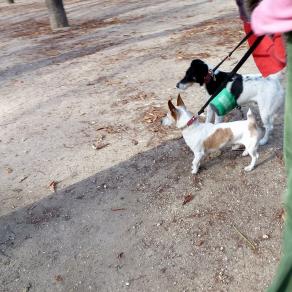 Rencontre au sommet !