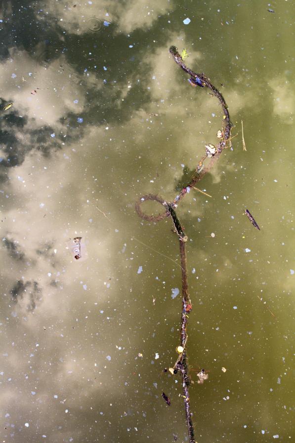 Untitled (Gowanus Canal) Untitled (Gowanus Canal)