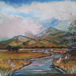 Canake del lago  di Massaciuccoli