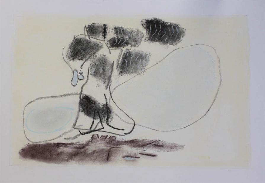 Waterlilies, Ninfee "carbone disegni"