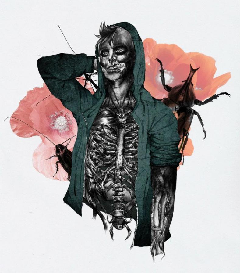 coquelicots et les cafards