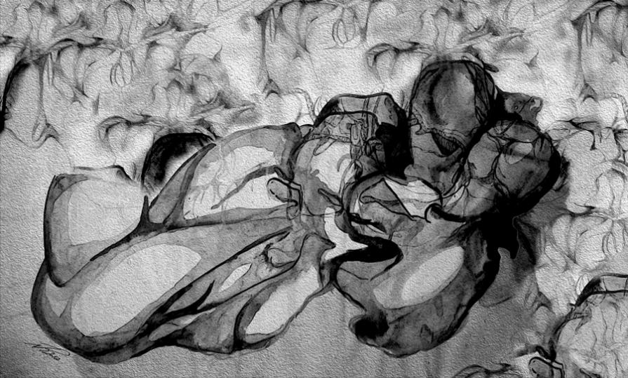 Bagged and Tied in the Dawn of Light