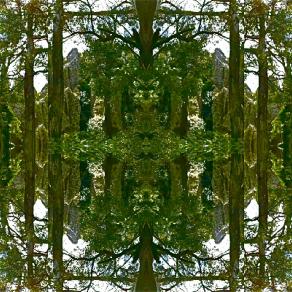 Australian Landscape