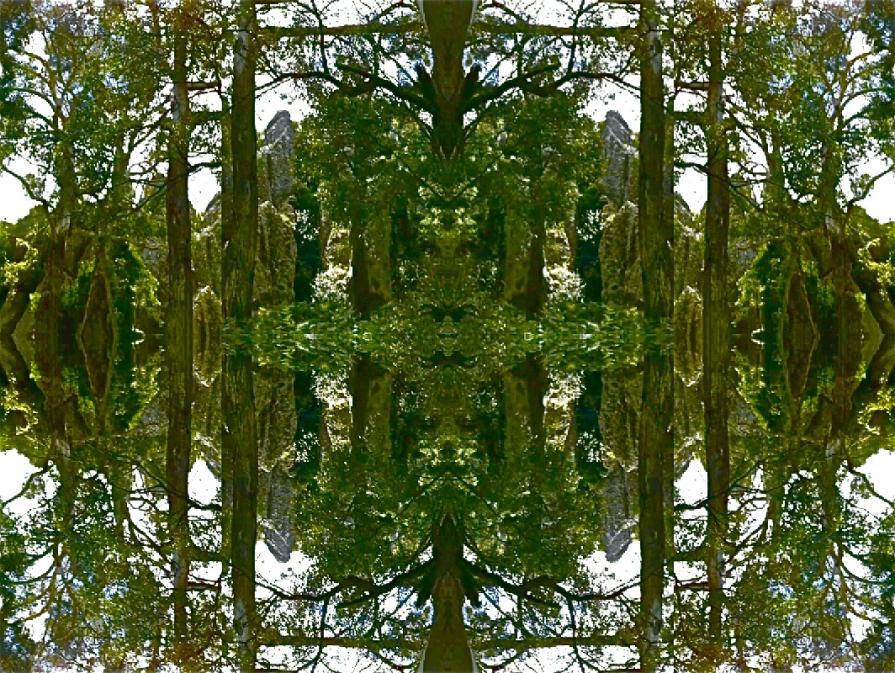 Australian Landscape