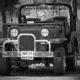 Jungle jeep