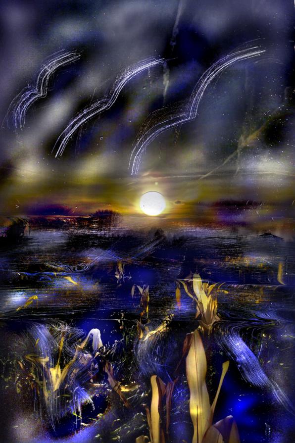 si si parte ora in un viaggio .....nuovo.