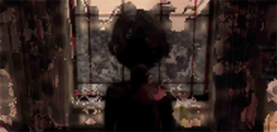 Lying birds for compact Hof