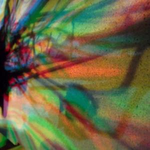 I colori della biodiversità -2016