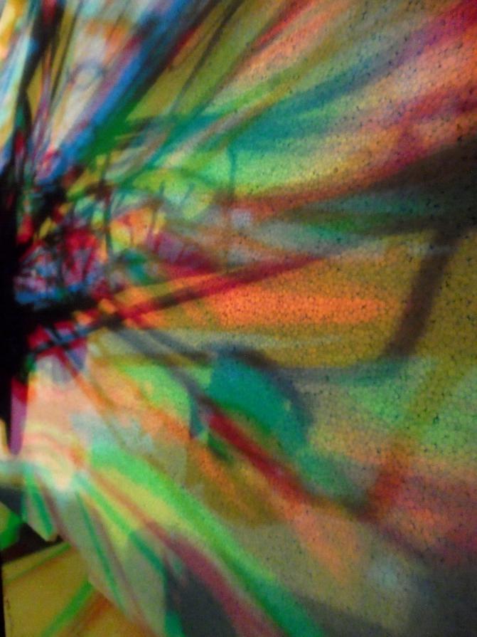 I colori della biodiversità -2016