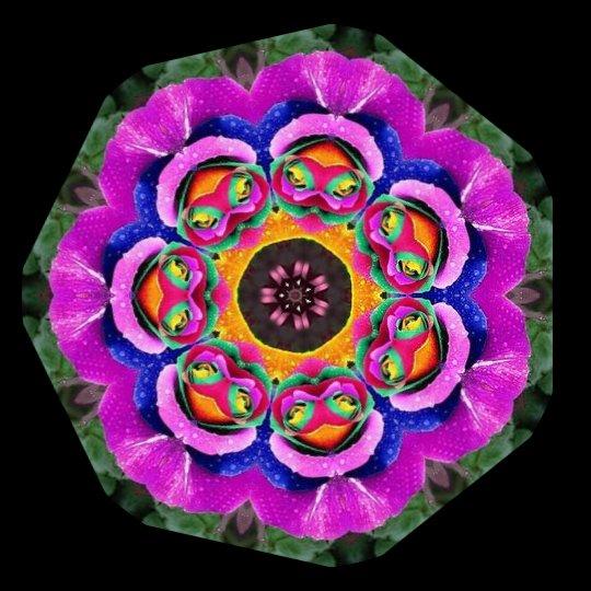 . . . STAY BY ME !!! . . . 