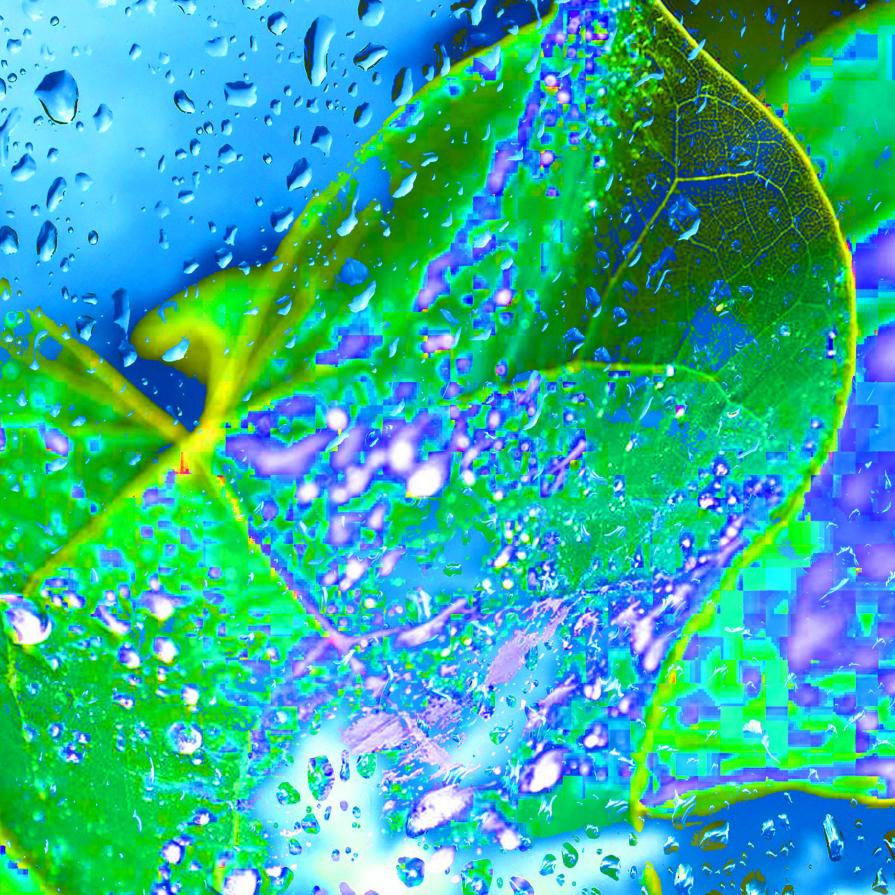 . . . LA PIU' GRANDE RICHEZZA E' LA SALUTE !!! . . . 