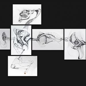 Il gioco del mal di stomaco / THE STOMACH PAIN GAME 2