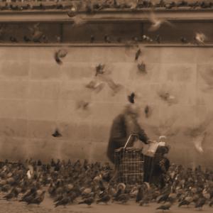 The Birdman 3 The Birdman 3